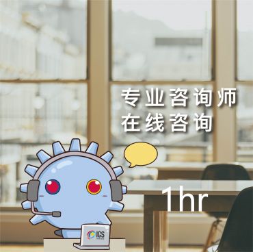 专案咨询-60分钟