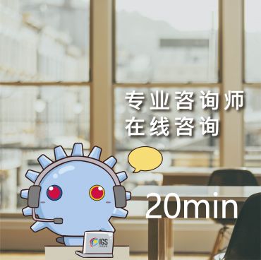 专案咨询-20分钟