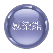 归纳